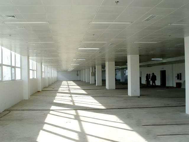 1249348534032_000.jpg